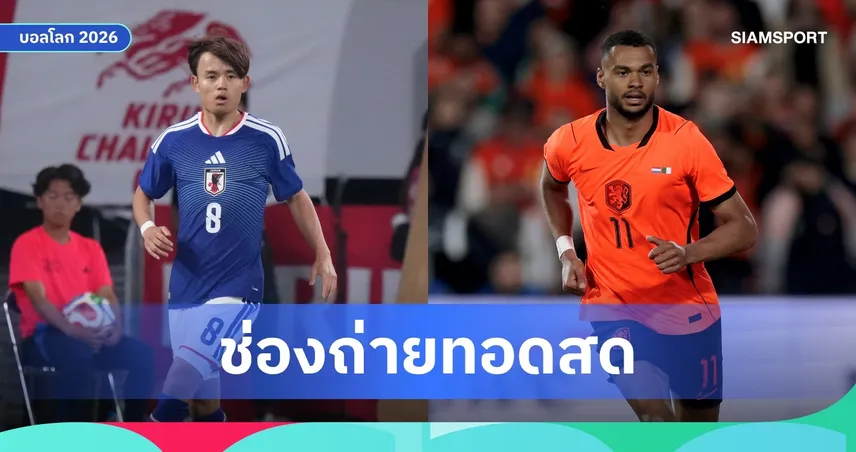 LIVE : ดูบอลสด เนเธอร์แลนด์ vs ญี่ปุ่น ฟุตบอลโลก 2026 พร้อมลิงก์ดูบอลออนไลน์