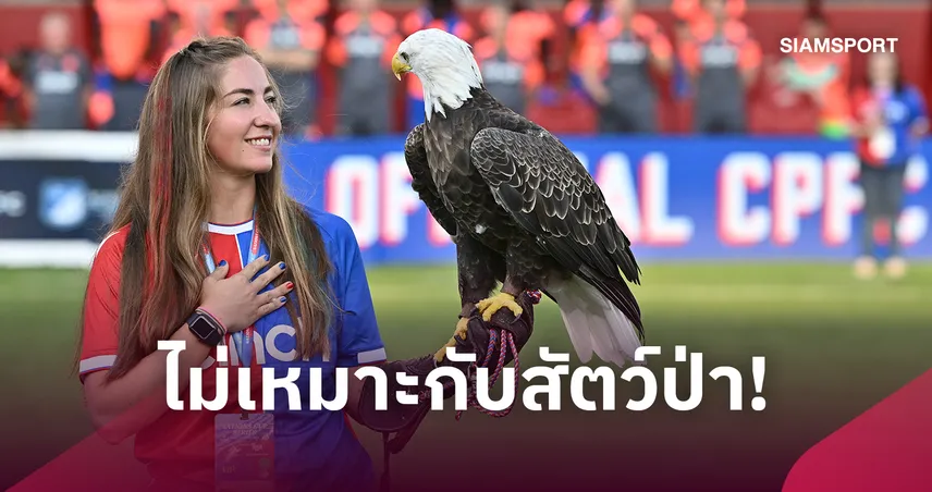 คริสตัล พาเลซ เจอพีต้ากดดันหนัก! ปมใช้นกอินทรีหัวขาวโชว์ก่อนเกม