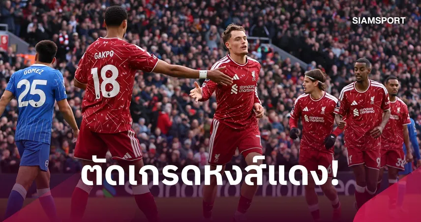 ลิเวอร์พูล 2-0 ไบรท์ตัน : เวียร์ตซ์ สุดจัด, อเราโฮ ดุดัน! ตัดเกรดแข้งหงส์จิกนกนางนวล
