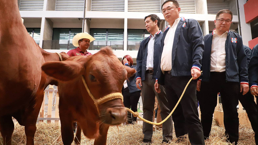 สทบ.ดึงโครงการโคล้านครอบครัว ช่วยชาวเมืองคอน สร้างความเข้มแข็งเศรษฐกิจฐานราก