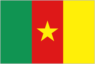Cameroon W logo
